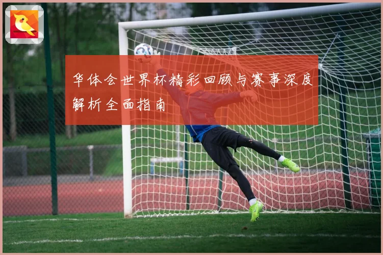 华体会世界杯精彩回顾与赛事深度解析全面指南