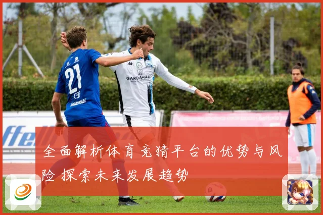 全面解析体育竞猜平台的优势与风险 探索未来发展趋势