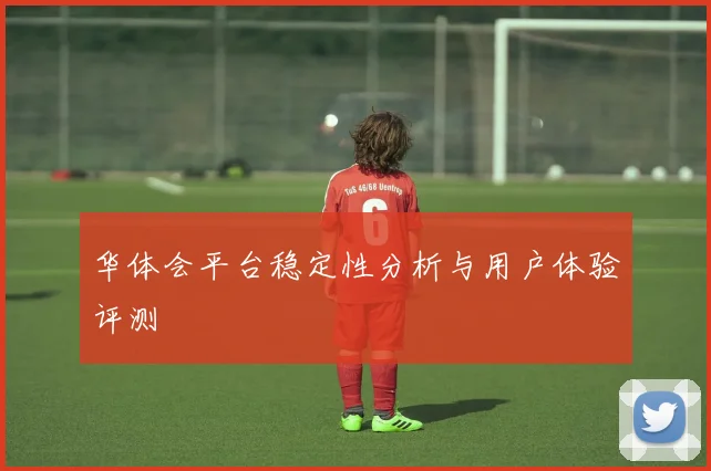 华体会平台稳定性分析与用户体验评测