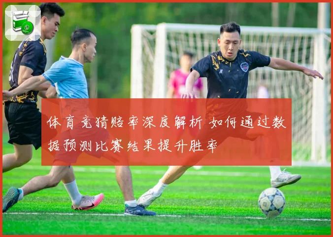 体育竞猜赔率深度解析 如何通过数据预测比赛结果提升胜率